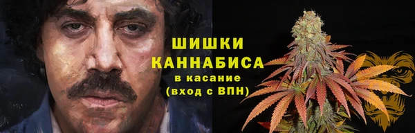 ECSTASY Алзамай