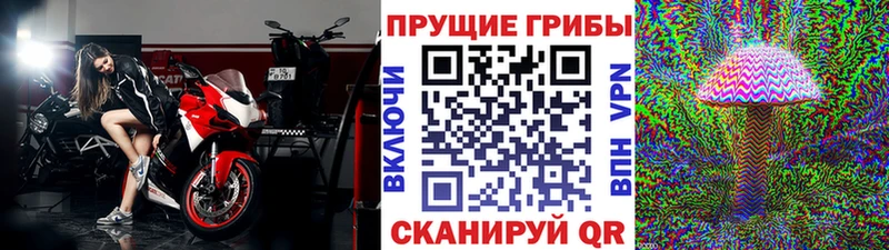 Псилоцибиновые грибы MAGIC MUSHROOMS  что такое наркотик  Поронайск 